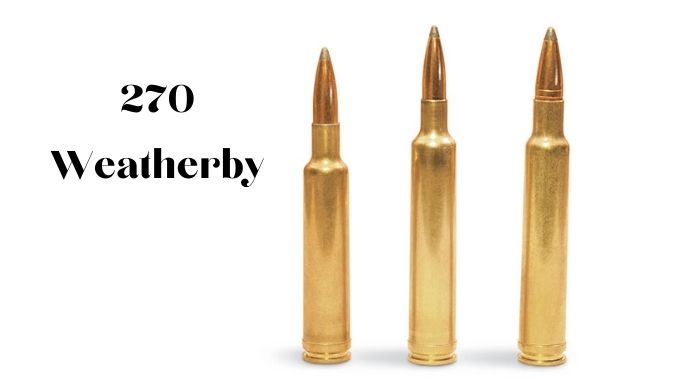 270 Weatherby